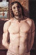 BRAMANTE Christ at the Column  gfd Spain oil painting artist