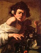 Caravaggio Youth Bitten by a Green Lizard Spain oil painting artist