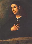 Giorgione Portrait of a Youth (Antonio Broccardo) dsdg oil