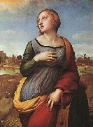 Raphael St.Catherine of Alexandria Spain oil painting artist