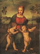 Raphael Madonna of the Goldfinch oil