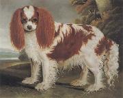 J.L.Clark King Charles Spaniel II oil painting reproduction