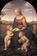 Raphael The Virgin and Child with the infant Saint John the Baptist Spain oil painting artist