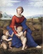 Raphael The Madonna in the Meadow Spain oil painting artist