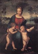 Raphael The Madonna of the Goldfinch Spain oil painting artist