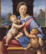 Raphael The Madonna and Child with teh Infant Baptist oil