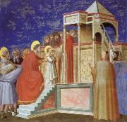 Giotto Presentation of the VIrgin ar the Temple painting