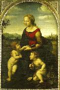 Raphael virgin and child wild st. oil