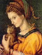 BACCHIACCA Portrait de jeune femme tenant un chat Spain oil painting artist