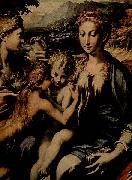 PARMIGIANINO Thronende Madonna, Hl. Zacharias, Hl. Johannes der Taufer und Hl. Maria Magdalena Spain oil painting artist