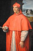 Raphael Portrait of Cardinal Alessandro Farnese Spain oil painting artist