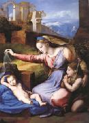 Raphael The Virgin with the Veil (mk05) oil painting artist