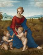Raphael Madonna of the Meadows (mk08) Spain oil painting artist