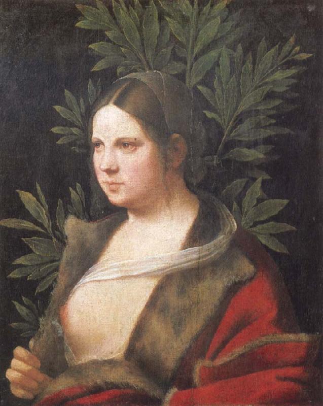 Giorgione Portrait of a young woman oil painting image