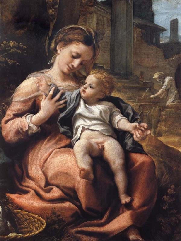 Correggio The Madonna of the Basket oil painting image