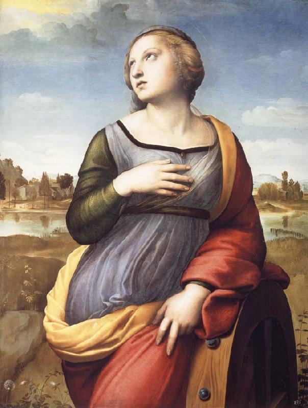 Raphael Saint Catherine of Alexandria oil painting image