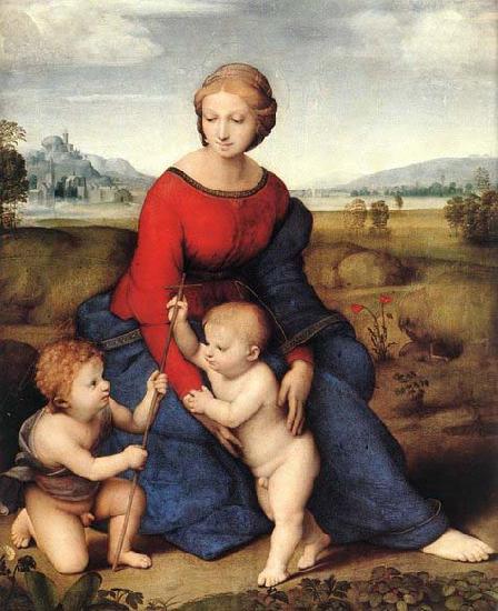 Raffaello Madonna of Belvedere oil painting picture