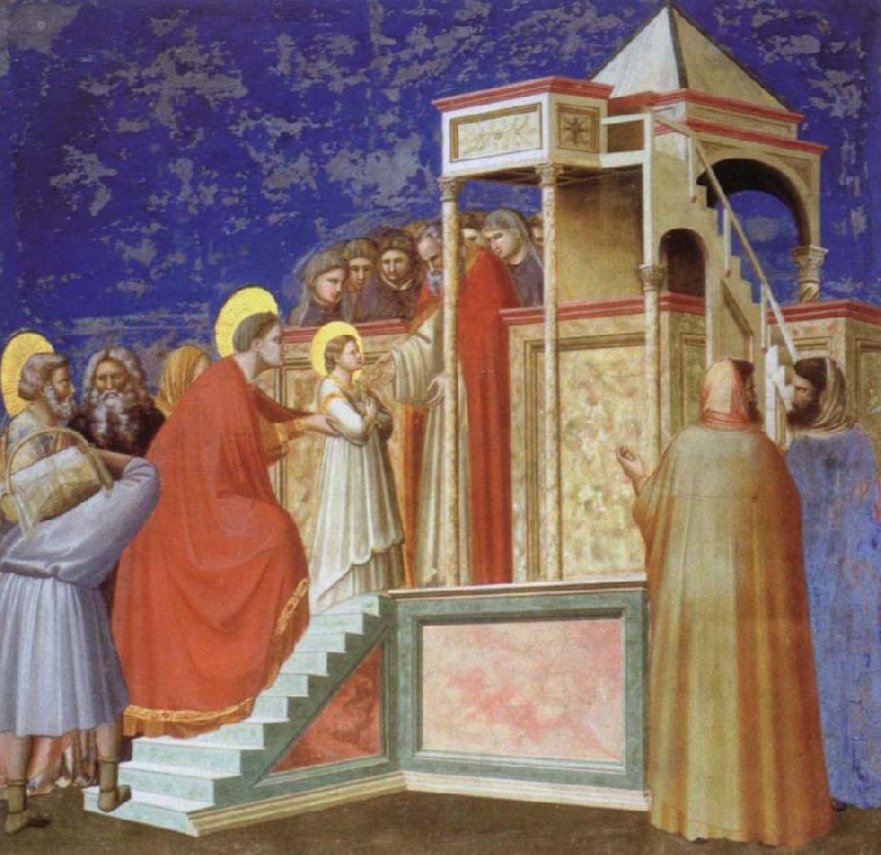 Giotto Presentation of the VIrgin ar the Temple oil painting picture