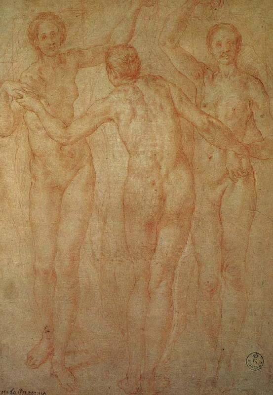 Pontormo The three goddesses oil painting image