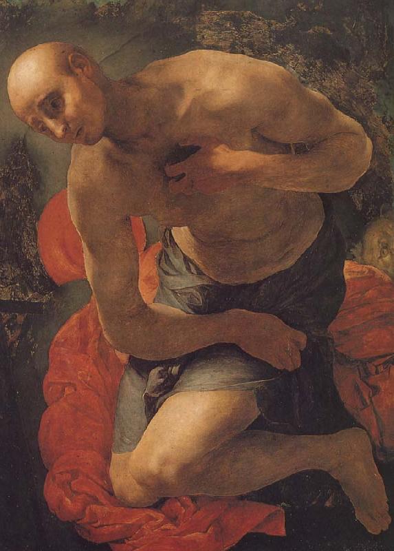 Pontormo St. Jerome oil painting image