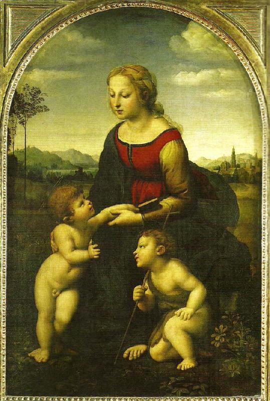 Raphael virgin and child wild st. oil painting image