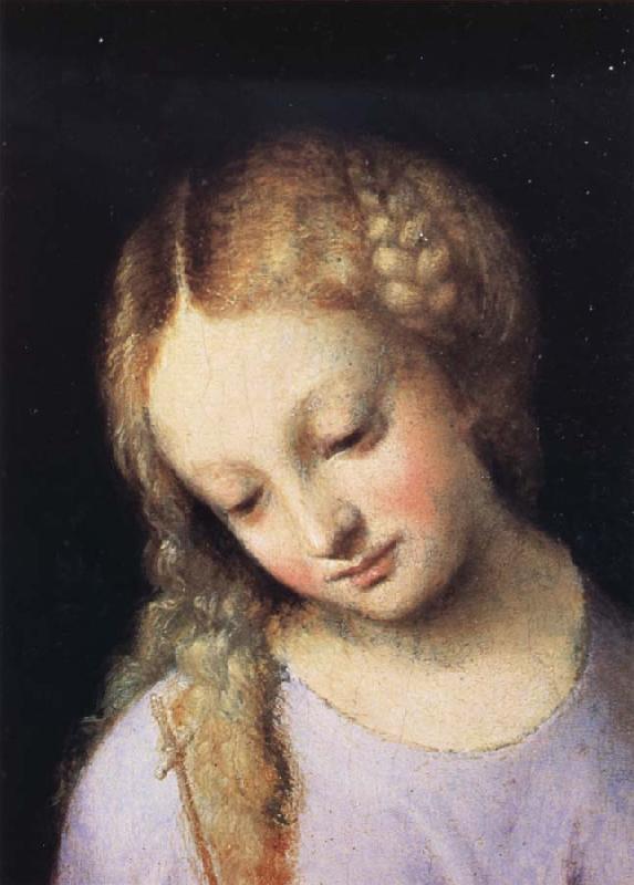 Correggio Details of Madonna and Child with the Young Saint John oil painting image