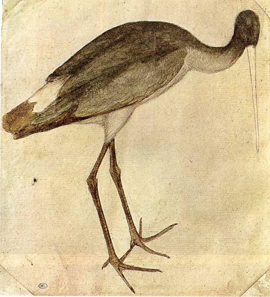 PISANELLO Stork oil painting picture