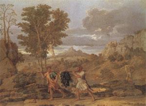 Poussin Apollo and Daphne (mk05) oil painting image