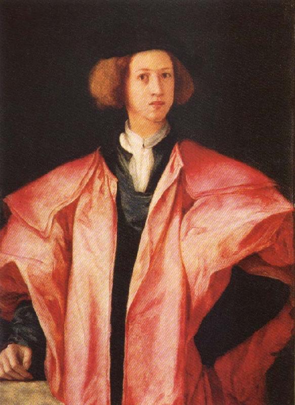 Pontormo Portrait of a young Man oil painting image